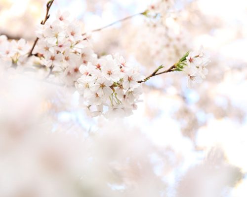 gynaekologie-telgte_hg_start